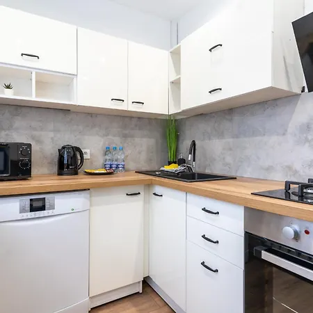 Apartmán Spodek Homely Katovice