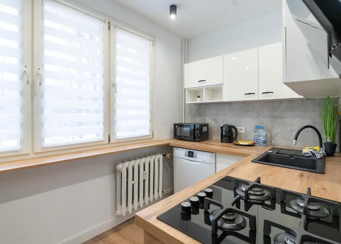 Spodek Homely By Bookinghost * קטוביץ