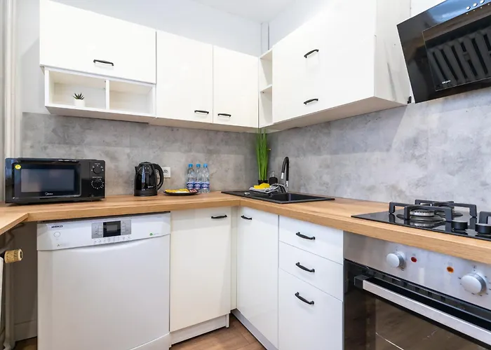 דירה Spodek Homely By Bookinghost קטוביץ